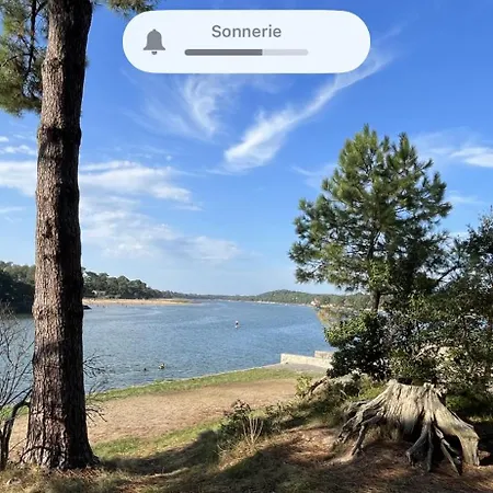 Oasis Avec Piscine Chauffee A Hossegor