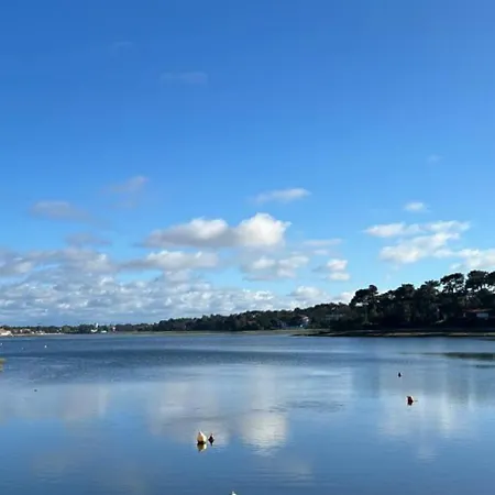 Oasis Climatisée Avec Piscine Chauffée à Hossegor Villa *