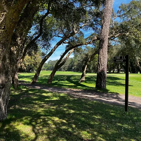 Oasis Climatisee Avec Piscine Chauffee A Hossegor