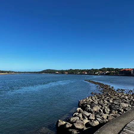 Oasis Climatisée Avec Piscine Chauffée à Hossegor Villa