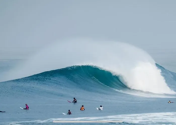 Villa Oasis Climatisée Avec Piscine Chauffée à Hossegor Soorts-Hossegor