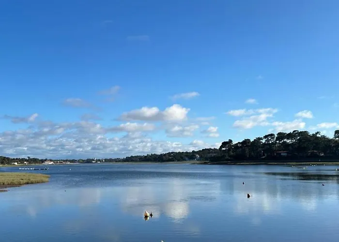 Oasis Climatisée Avec Piscine Chauffée à Hossegor Villa *