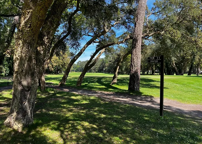 Oasis Climatisée Avec Piscine Chauffée à Hossegor