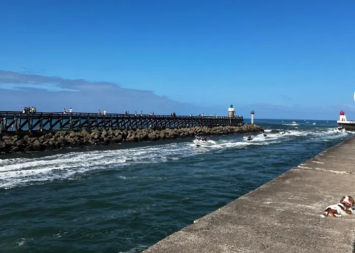 Oasis Climatisée Avec Piscine Chauffée à Hossegor * Soorts-Hossegor