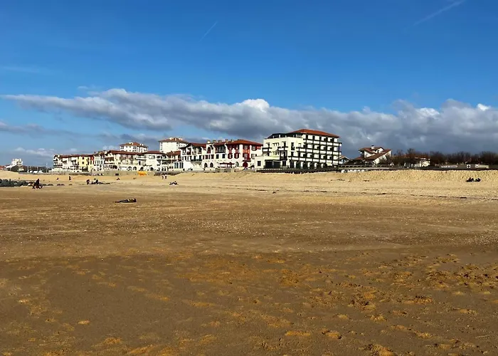 Oasis Climatisée Avec Piscine Chauffée à Hossegor